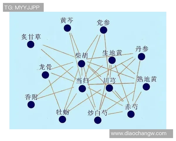 南京排球队比赛经验分析与数据挖掘探讨团队表现及未来发展方向