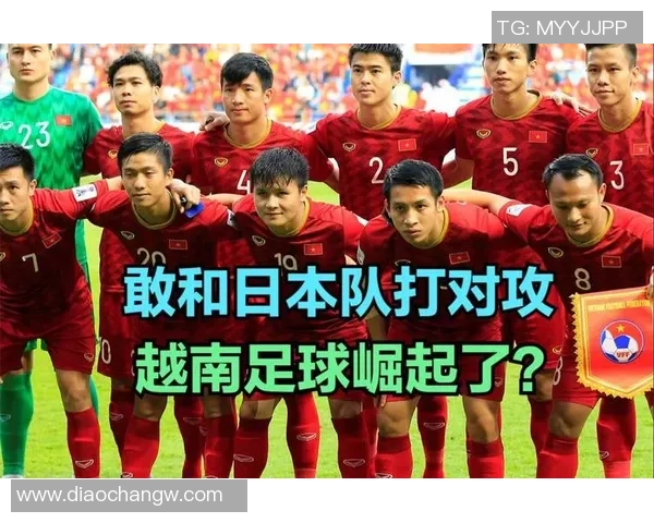 南京篮球队的团队协作精神与战术配合探讨