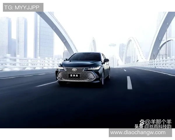 南京羽毛球队在洲际杯积分榜上以55分稳居第一名展现强劲实力