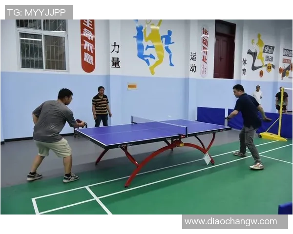 吴丽独家分享乒乓球技巧与心得助你提升球技的全方位指南 吴丽独家分享乒乓球技巧与心得助你提升球技的全方位指南